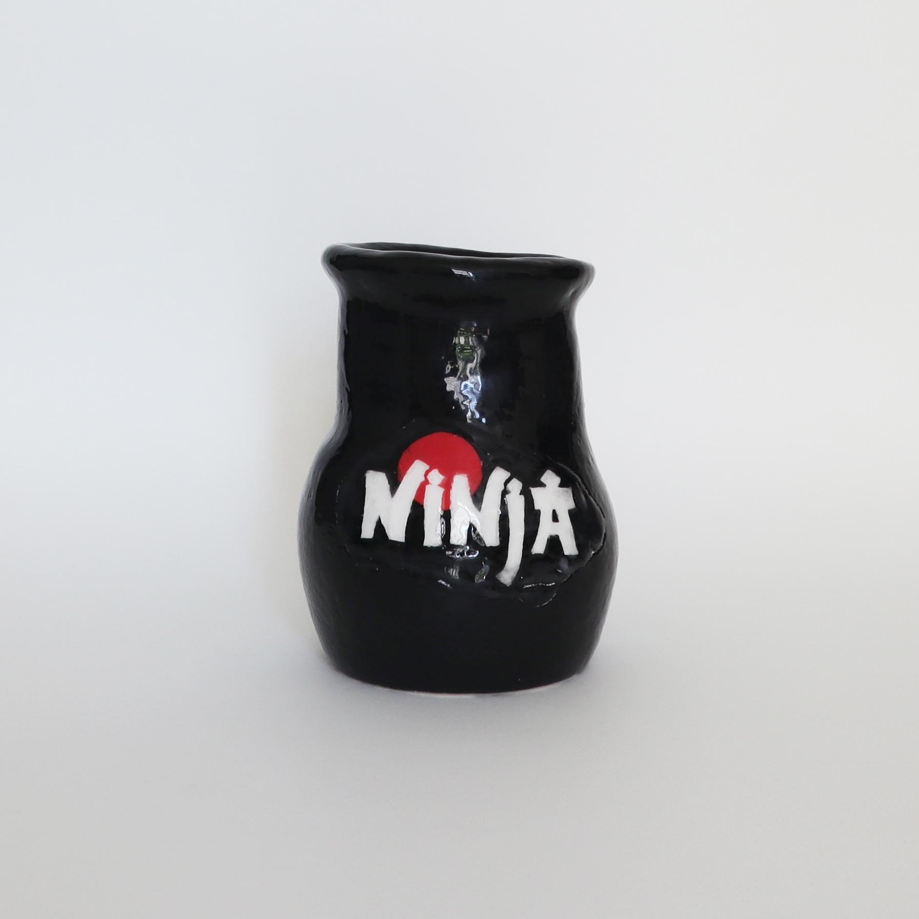 Vase exhaust pipe Ninja, Polini and Bidalot &#8211; With LADYBOYSHIT